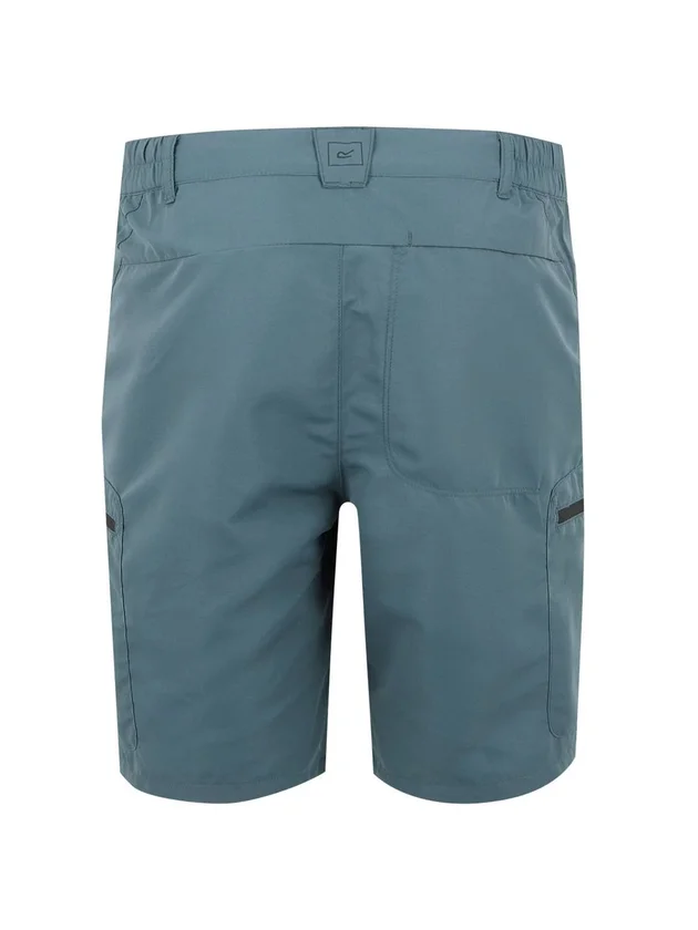 Leesvilleshrtiii