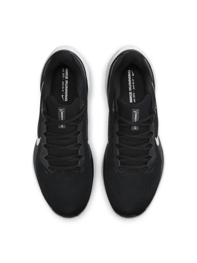 Air Zoom Pegasus 41