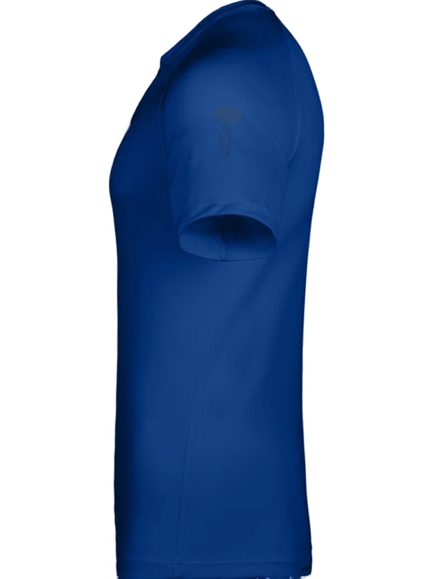 Dri-FIT Park VIII JSY SS