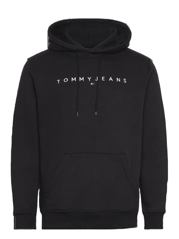 Reg Linear Logo Hoodie Ext