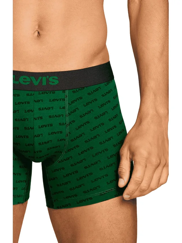 Logo Aop Boxer Brief 2P
