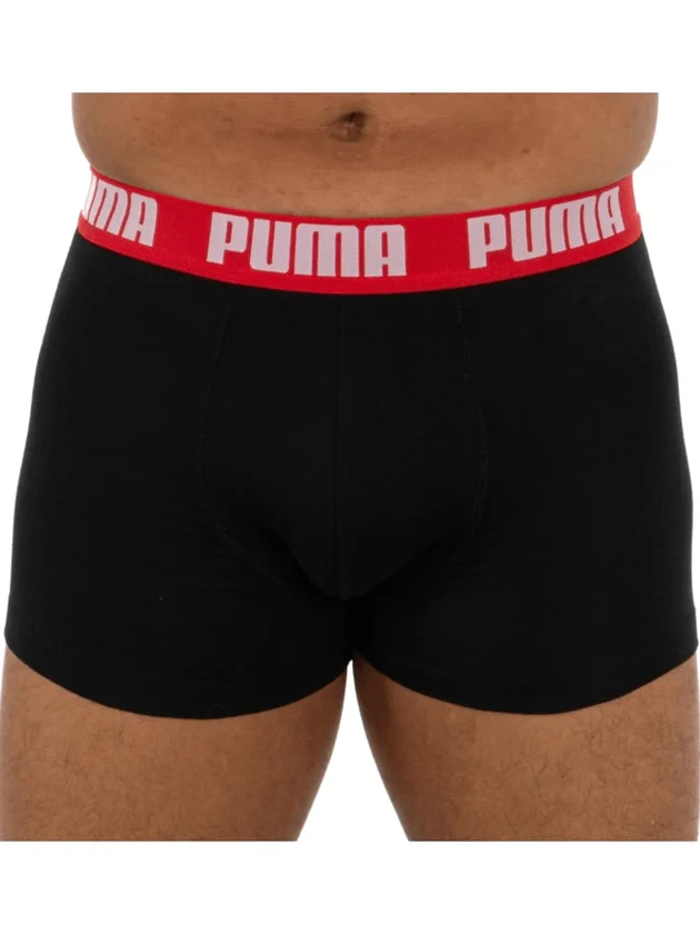 Basic Boxer 2P