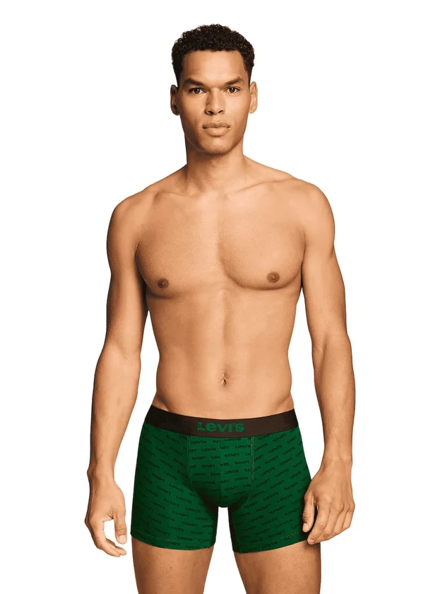 Logo Aop Boxer Brief 2P
