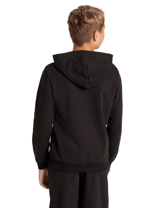 Ess+ Logo Lab Hoodie