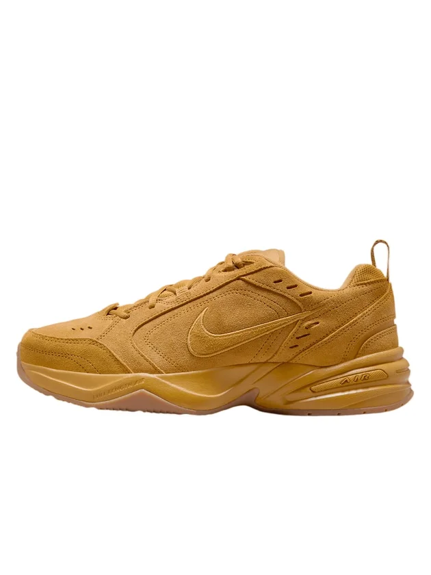 Air Monarch IV SE