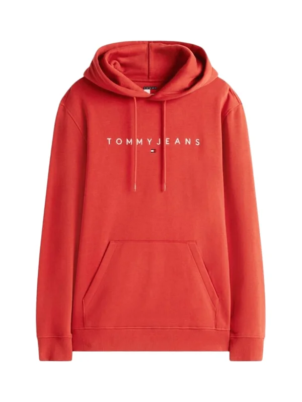 Reg Linear Logo Hoodie Ext