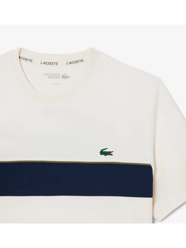 Technical Capsule