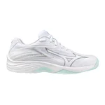 WHITE/BLUE TINT