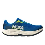 ELECTRIC COBALT / VARSITY NAVY