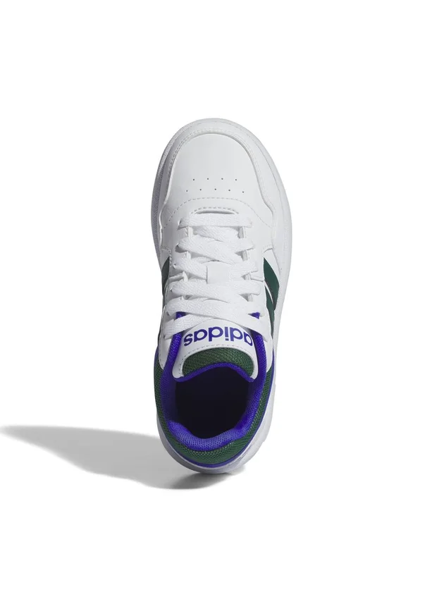 Hoops 3.0