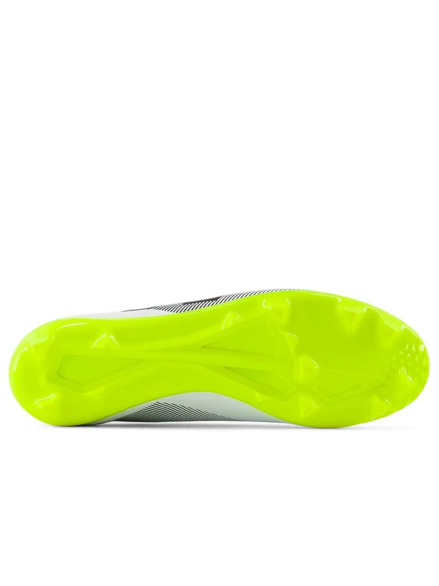 Fur Dis FG V7+ P1