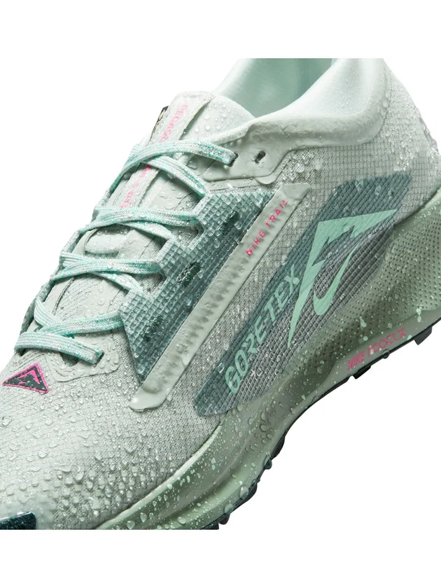 Pegasus Trail 5 GTX