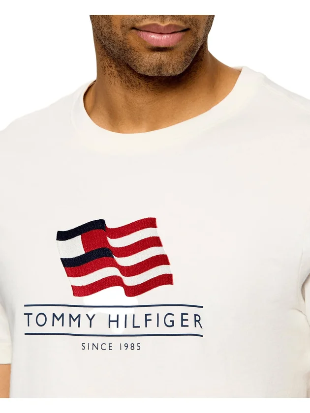 Main Flag Regula