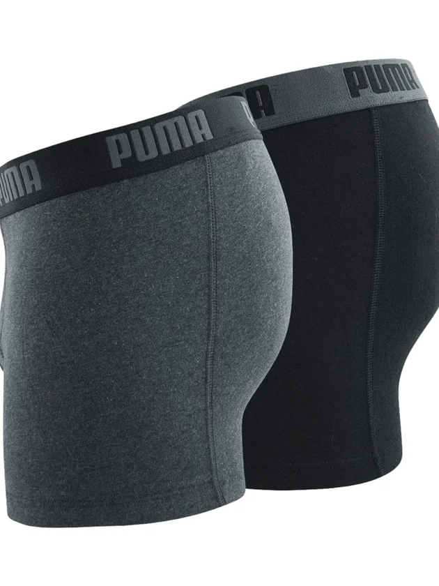 Basic Boxer 2P