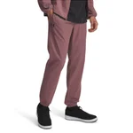 MAROON MIST