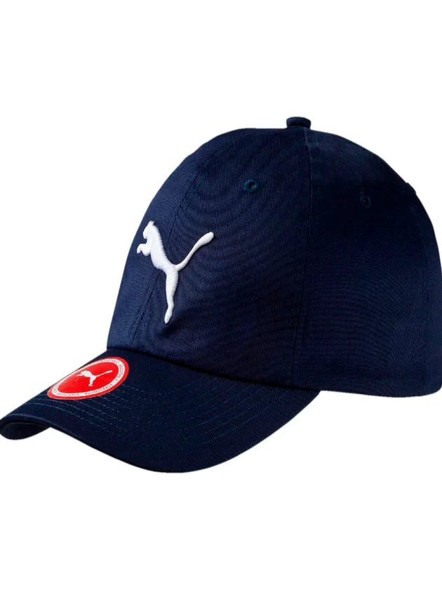 Ess Big Cat Cap