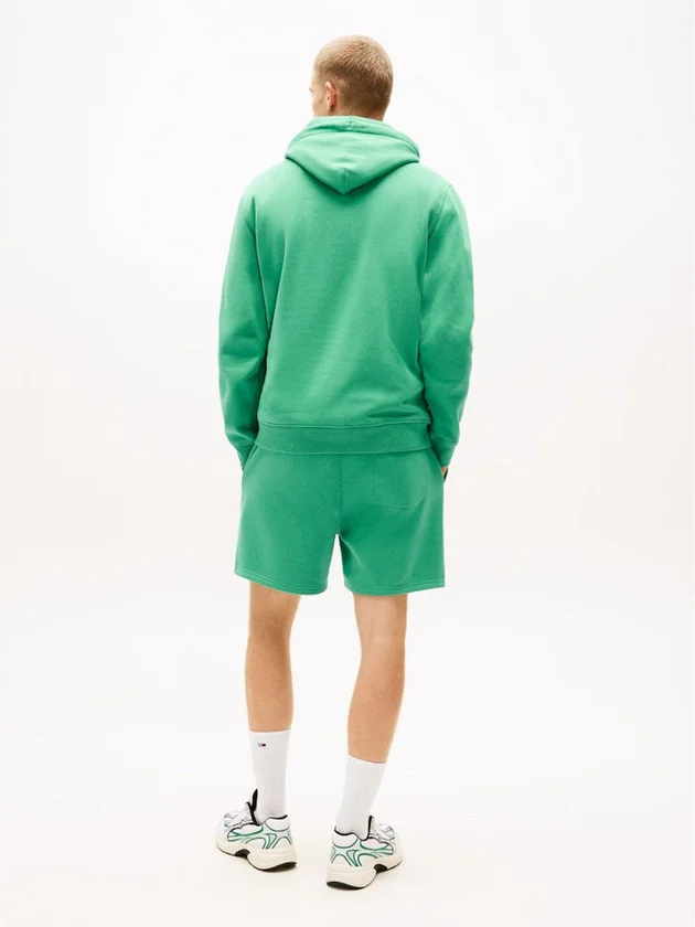 Reg Linear Logo Hoodie Ext
