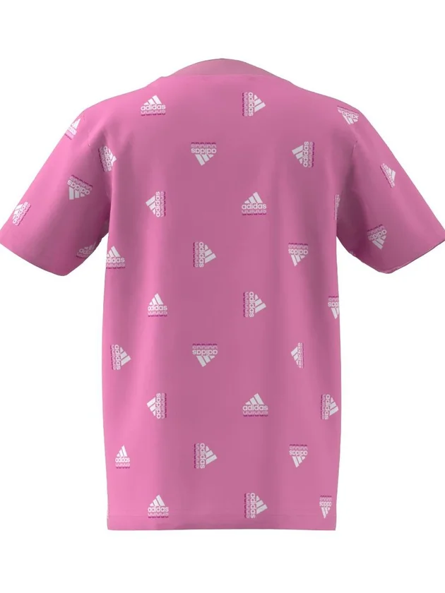 Lk Bluv Co Tee