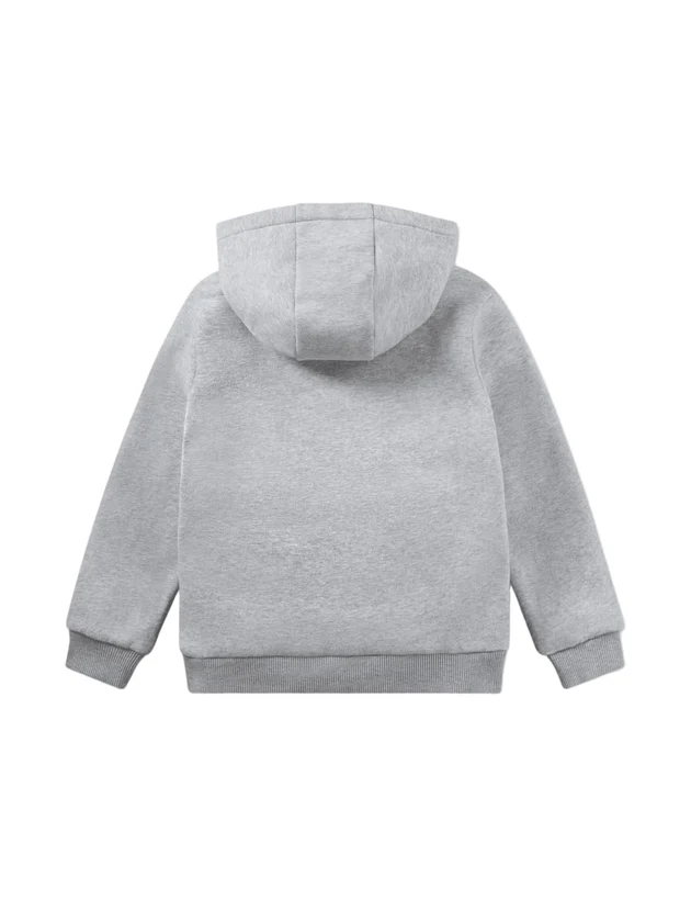 Core Fleece Pullover Hoodi