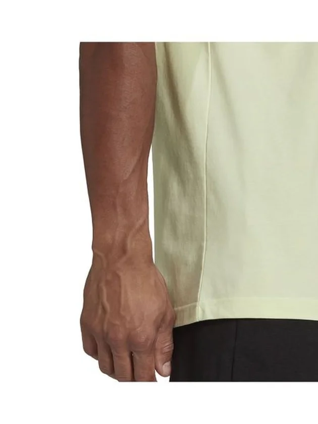 FV T
