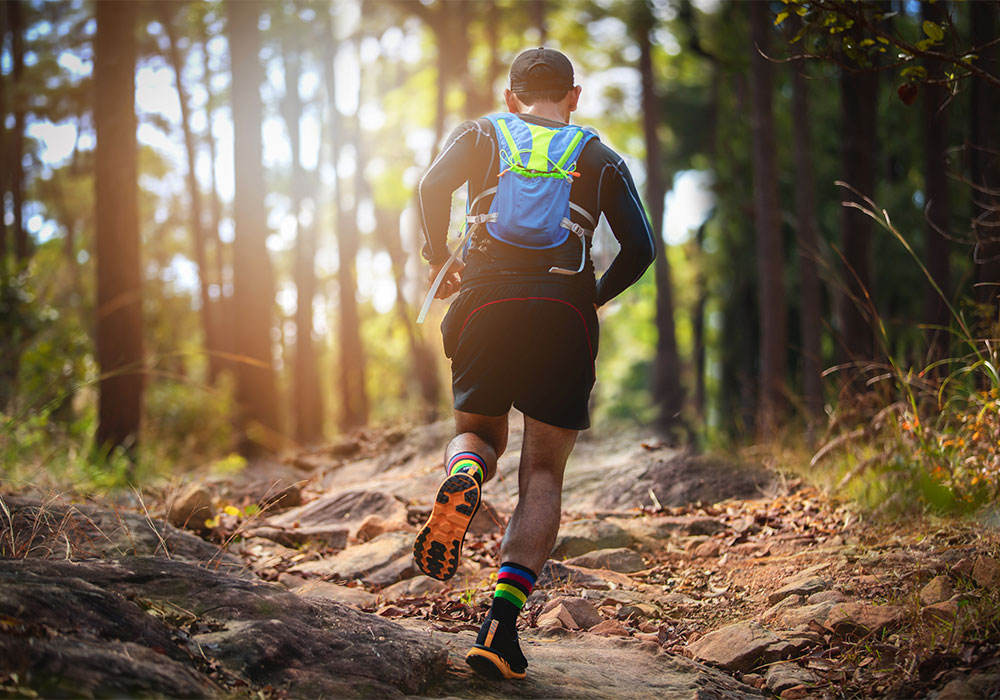 Trail