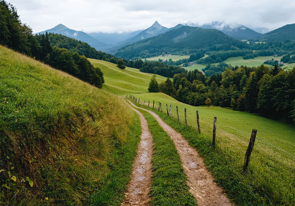 Trail Jura